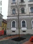 Imagine atasata: Reabilitare centru - 2015.03.01 - 078.jpg